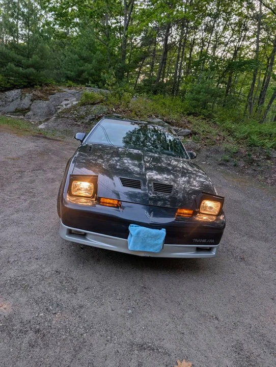 1987 Pontiac Firebird Trans Am 3rd Gen - Image 3 of 11