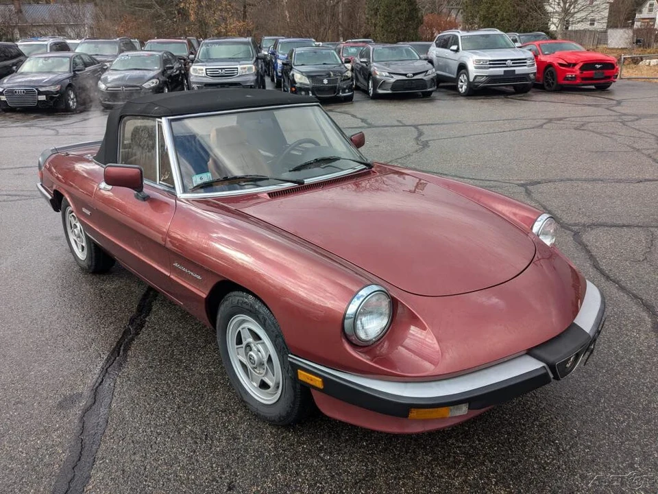 1988 Alfa Romeo Series 3 - Image 10 of 12