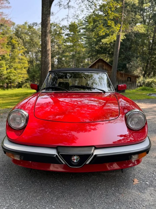 1988 Alfa Romeo Series 3 - Image 3 of 14