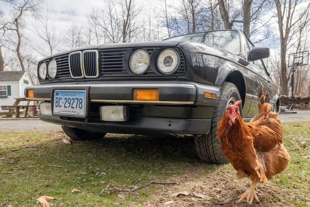 1988 BMW E30 3 Series - Image 3 of 31