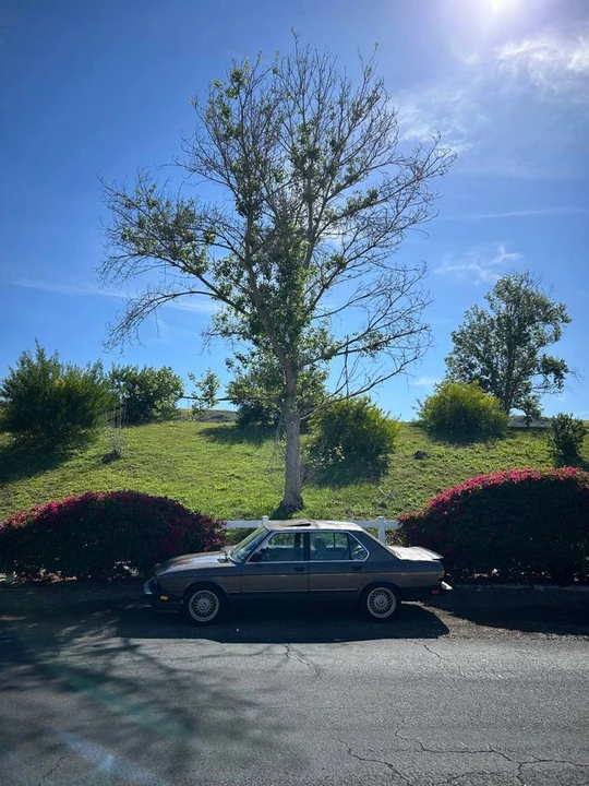 1988 BMW E28 5 Series - Image 3 of 3