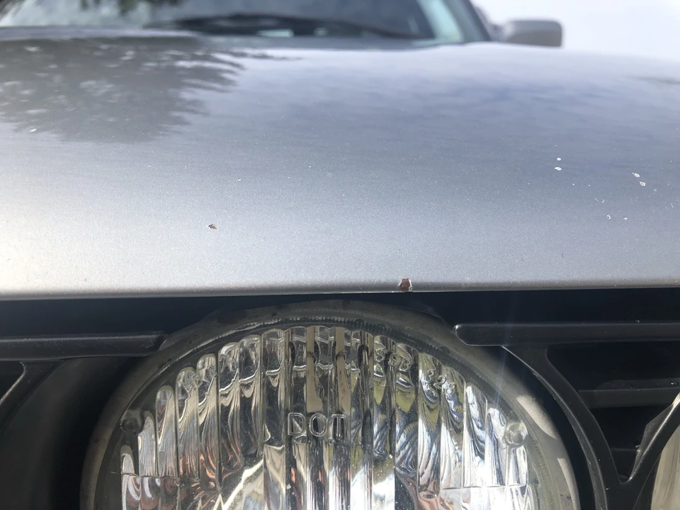 1988 BMW E30 M3 - Image 29 of 31