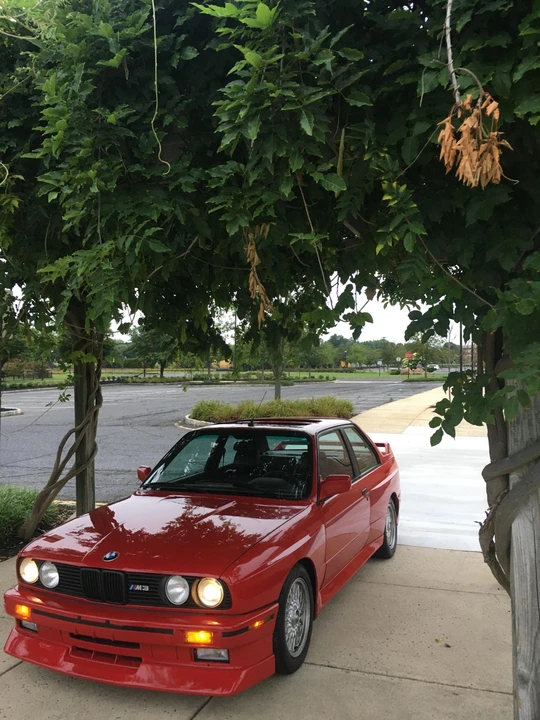 1988 BMW E30 M3 - Image 8 of 31