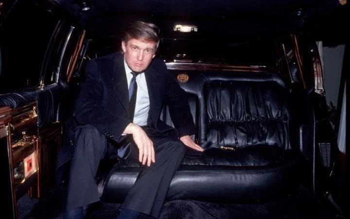 1988 Cadillac Brougham - Image 3 of 7