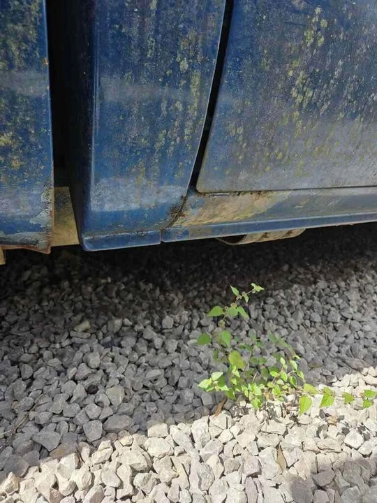 1988 Chevrolet C/K 4th Gen - Image 19 of 19