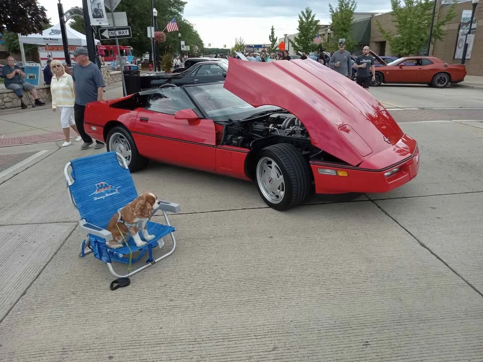 1988 Chevrolet Corvette C4 - Image 5 of 6