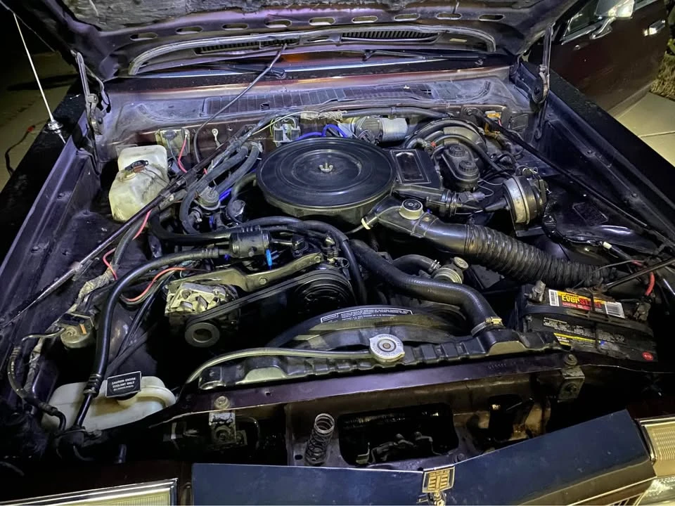 1988 Dodge Charger - Image 8 of 8