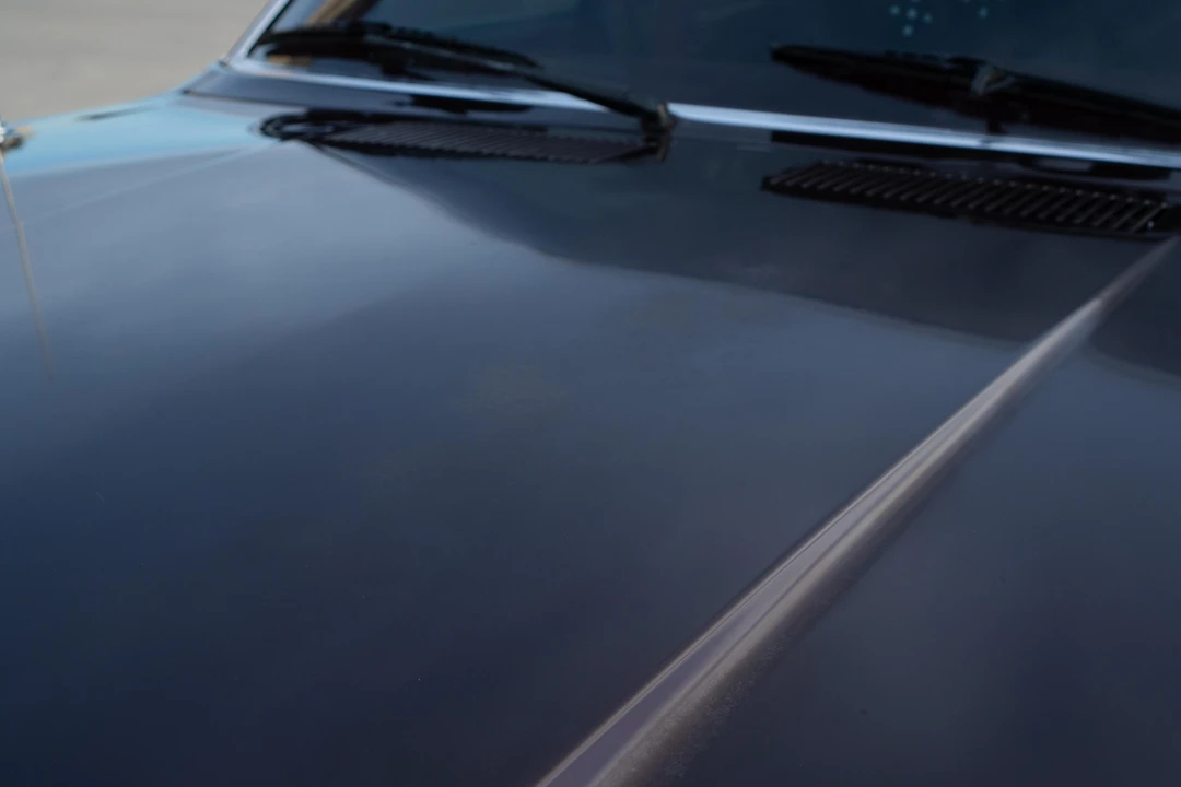 1988 Dodge Diplomat - Image 16 of 31