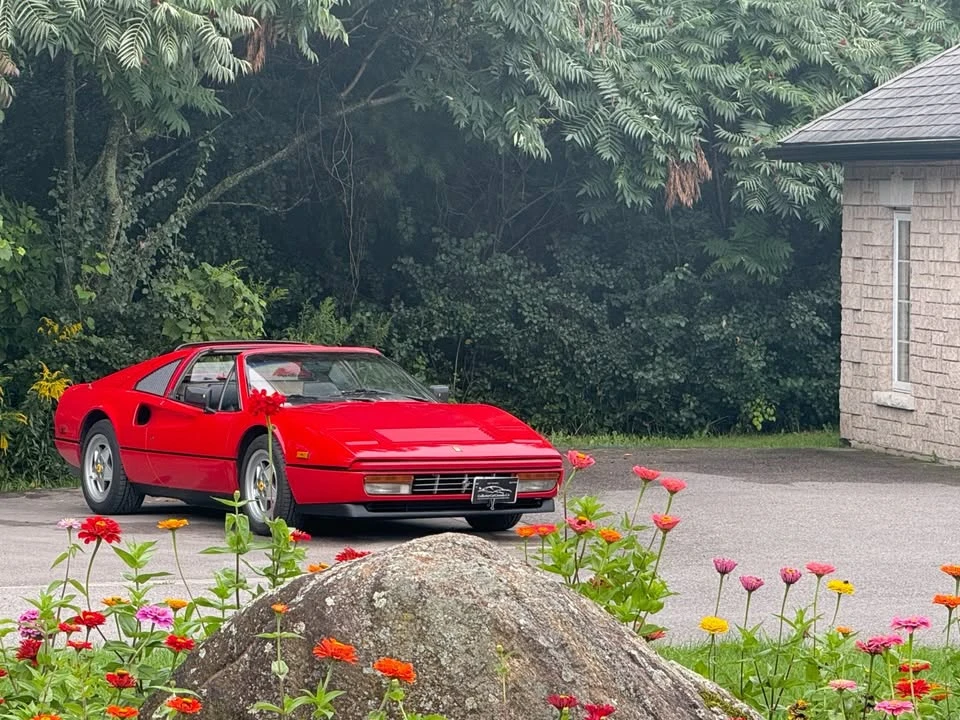 1988 Ferrari 328 GTS - Image 8 of 20