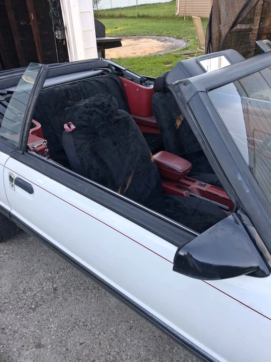 1988 Ford Mustang 3rd Gen - Image 5 of 6