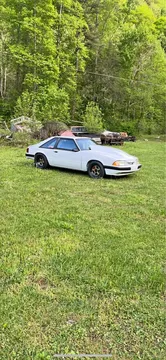 1988 Ford Mustang LX 5.0 Liter Coupe 2D
