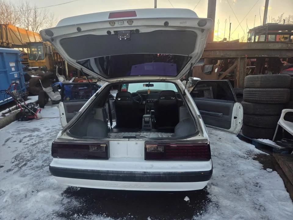 1988 Ford Mustang 3rd Gen - Image 19 of 20