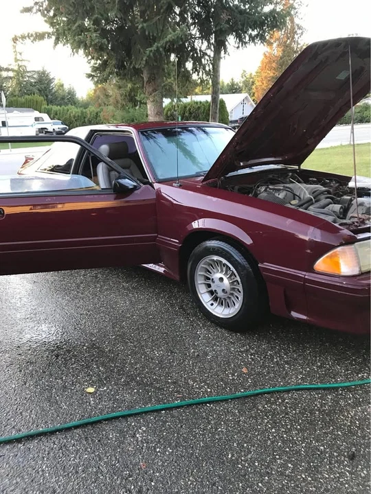 1988 Ford Mustang 3rd Gen - Image 9 of 9