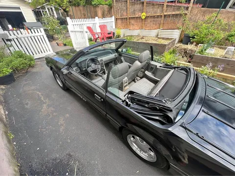 1988 Ford Mustang
