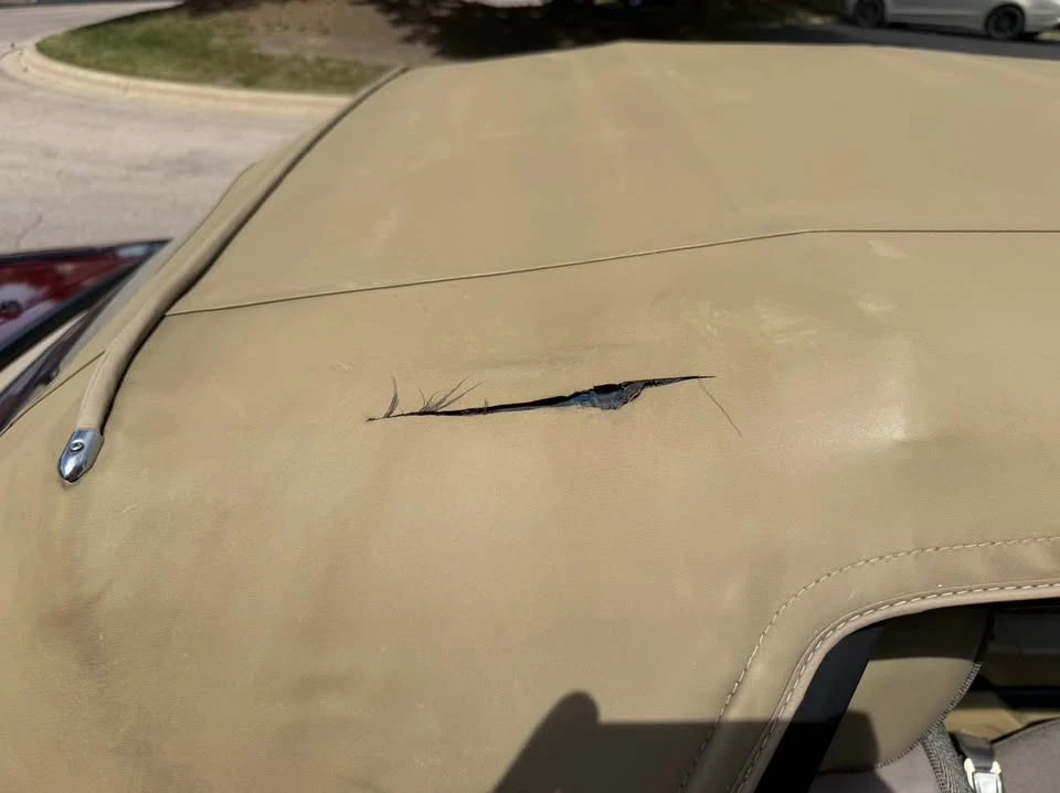 1988 Ford Mustang 3rd Gen - Image 11 of 13