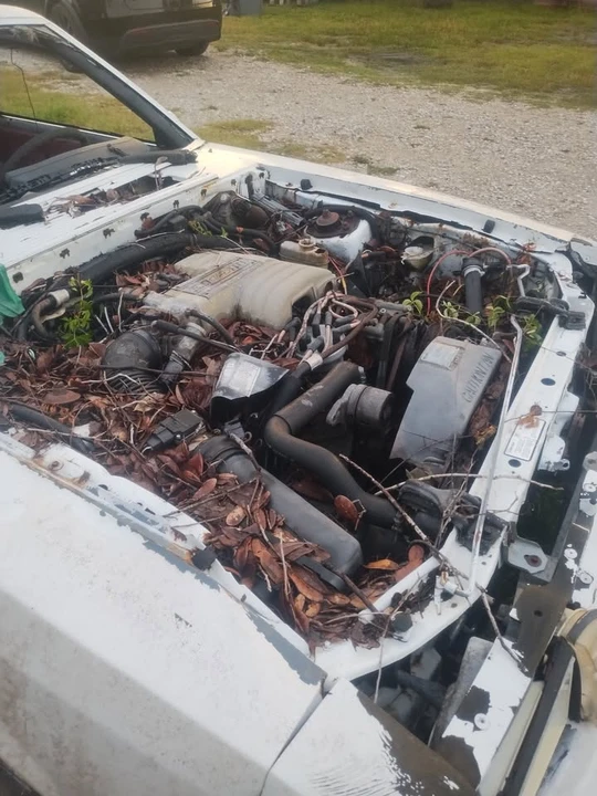 1988 Ford Mustang 3rd Gen - Image 14 of 14