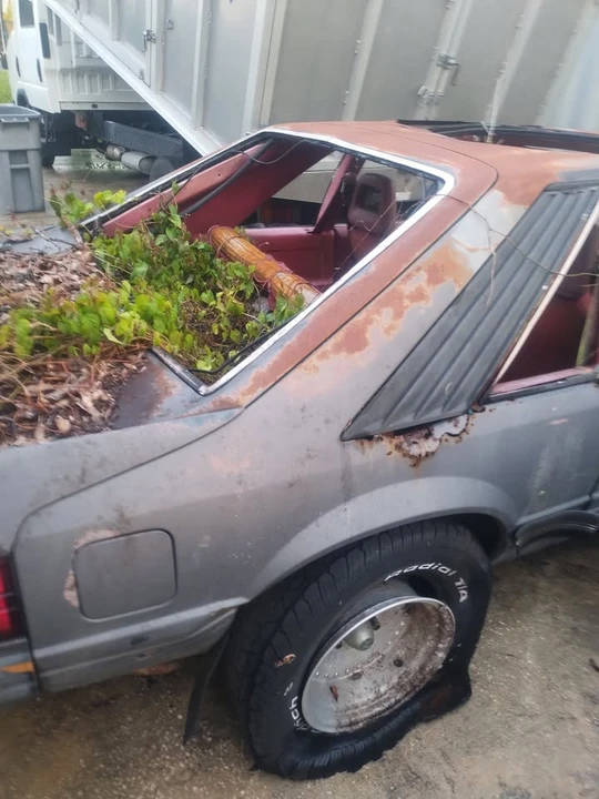 1988 Ford Mustang 3rd Gen - Image 6 of 14