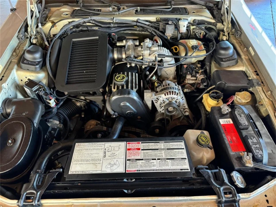 1988 Ford Thunderbird 9th Gen - Image 9 of 14