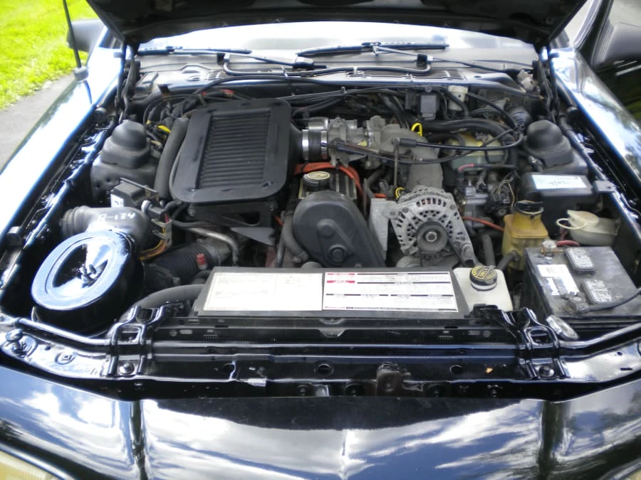 1988 Ford Thunderbird 9th Gen - Image 8 of 9