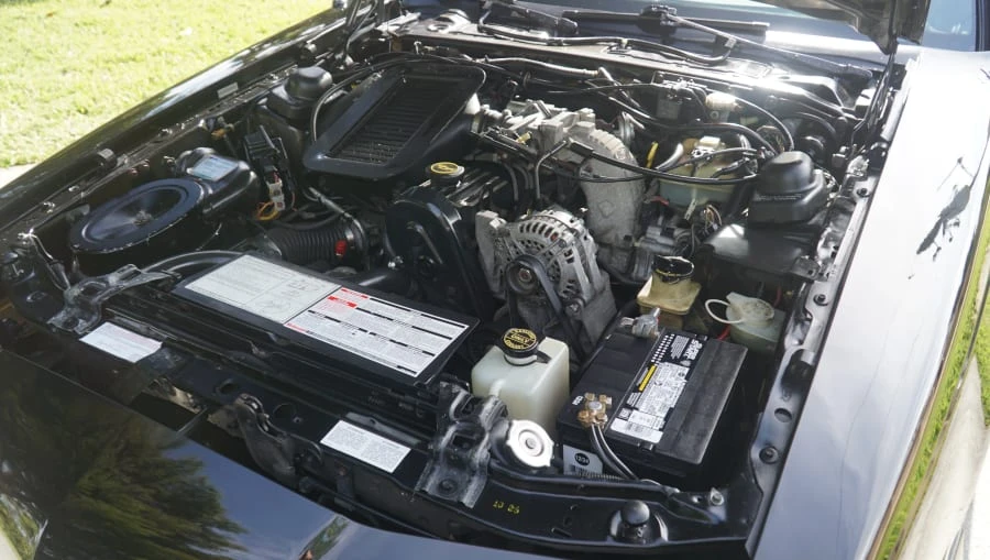 1988 Ford Thunderbird 10th Gen - Image 31 of 31