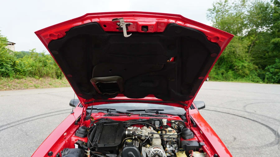 1988 Ford Thunderbird 9th Gen - Image 21 of 31