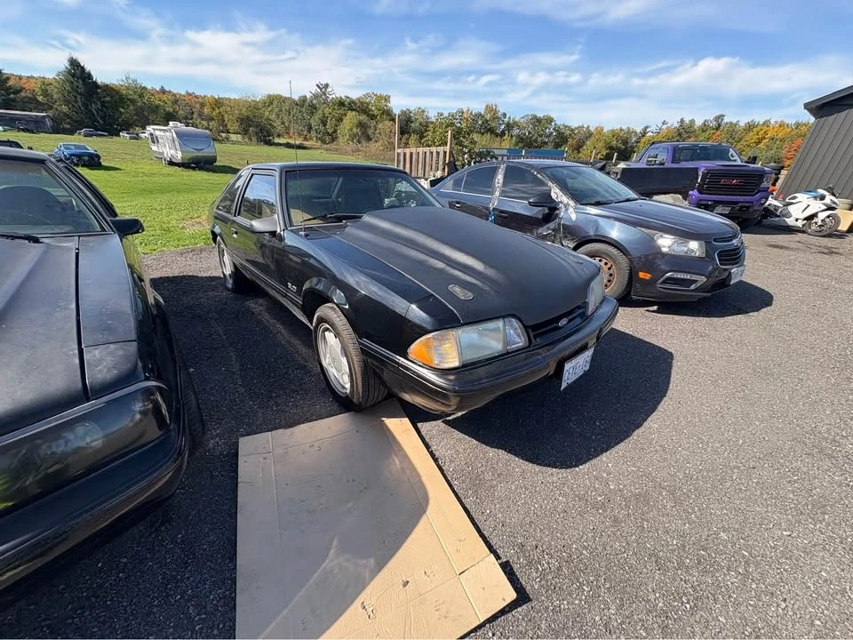 1988 Ford Mustang 3rd Gen - Image 8 of 8