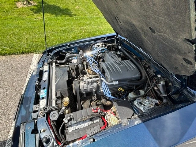 1988 Ford Mustang GT 3rd Gen - Image 12 of 20