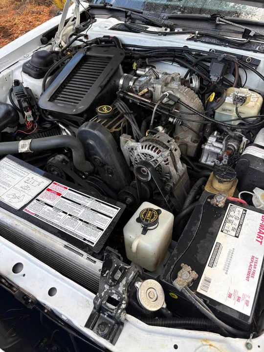 1988 Ford Thunderbird 9th Gen - Image 7 of 9