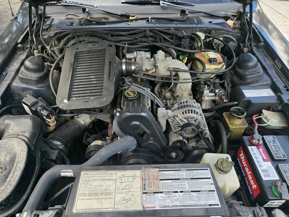 1988 Ford Thunderbird 9th Gen - Image 14 of 14