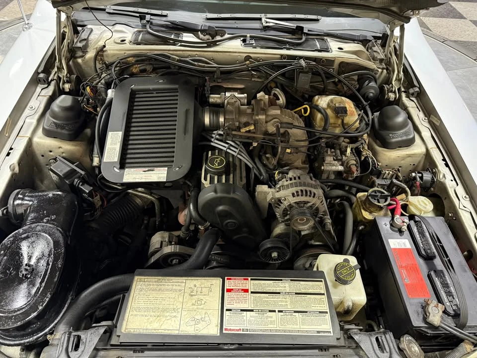 1988 Ford Thunderbird 10th Gen - Image 5 of 5