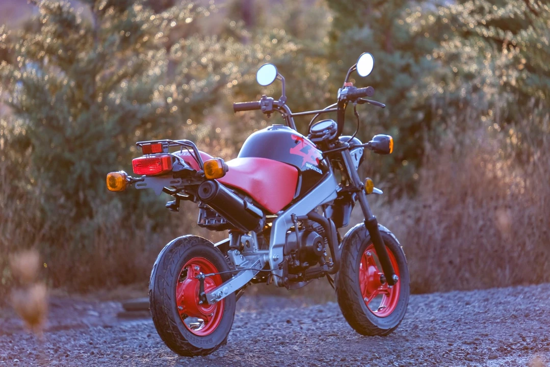 1988 Honda Motocompo & Motocompacto - Image 12 of 31