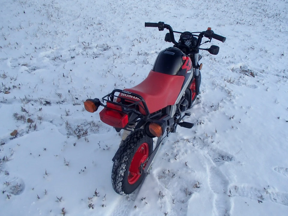 1988 Honda Mopeds - Image 6 of 31