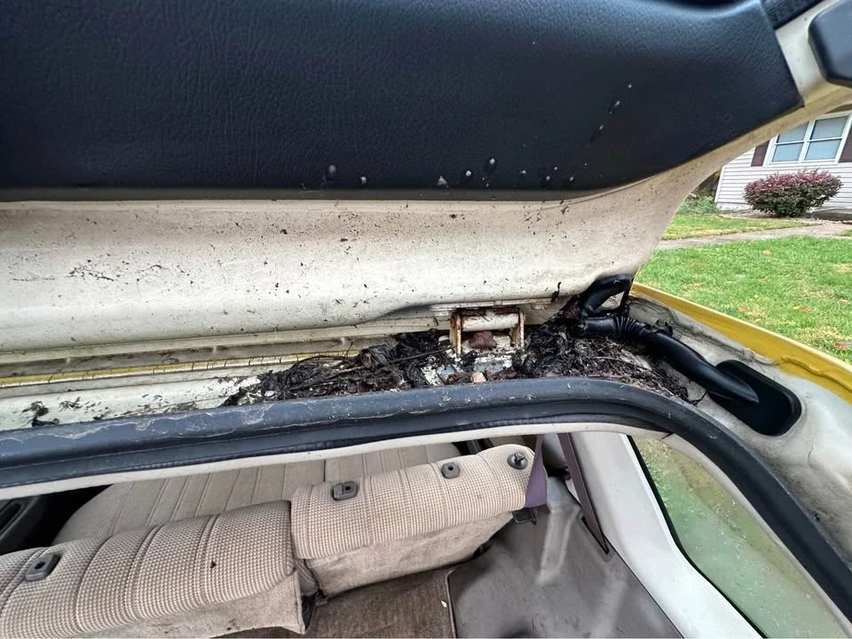 1988 Honda Civic 4th Gen - Image 5 of 6