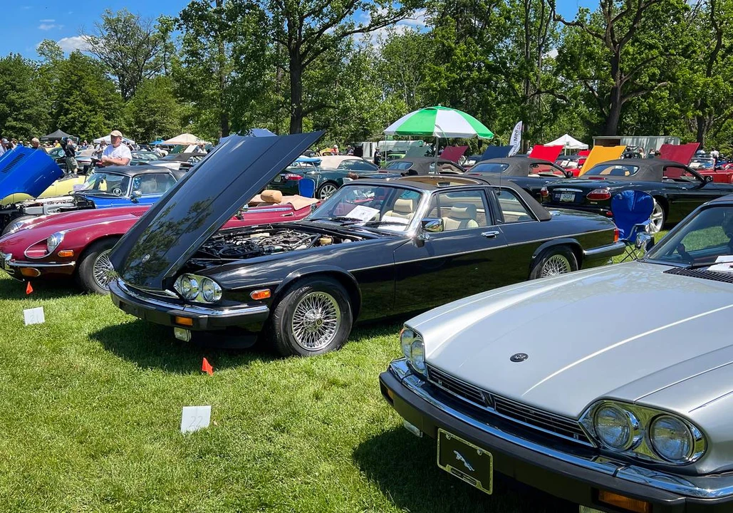1988 Jaguar XJS Pre-Facelift V12 - Image 19 of 19