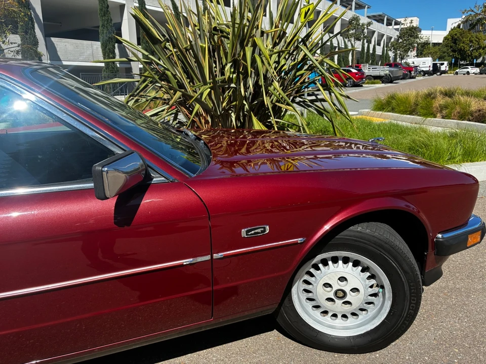 1988 Jaguar XJ40 XJ - Image 8 of 21