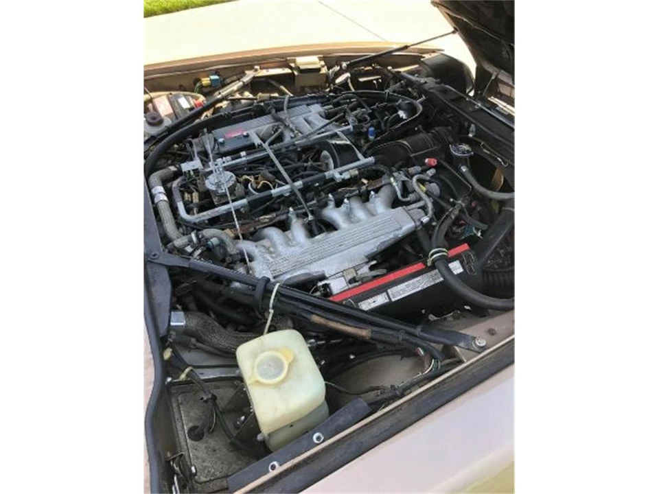1988 Jaguar XJS - Image 10 of 11