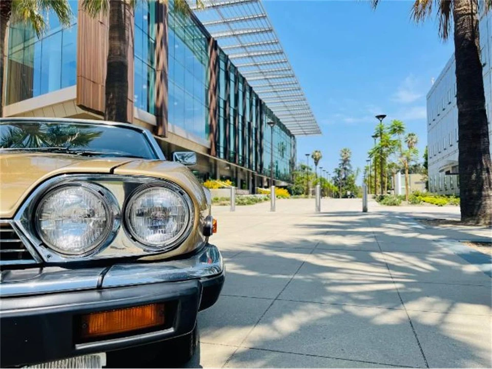 1988 Jaguar XJS - Image 10 of 12