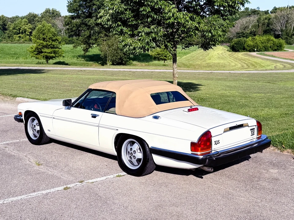 1988 Jaguar XJS Convertible - Image 8 of 21
