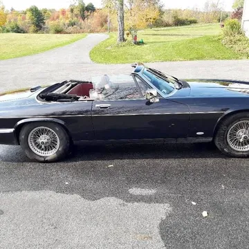1988 Jaguar XJS V12 Convertible