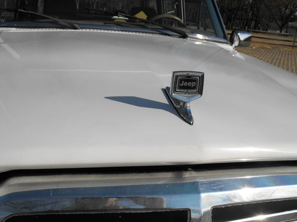 1988 Jeep SJ Wagoneer - Image 20 of 21