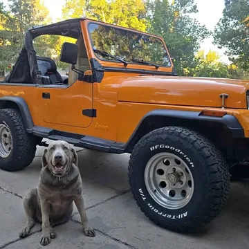 1988 Jeep Wrangler Sport