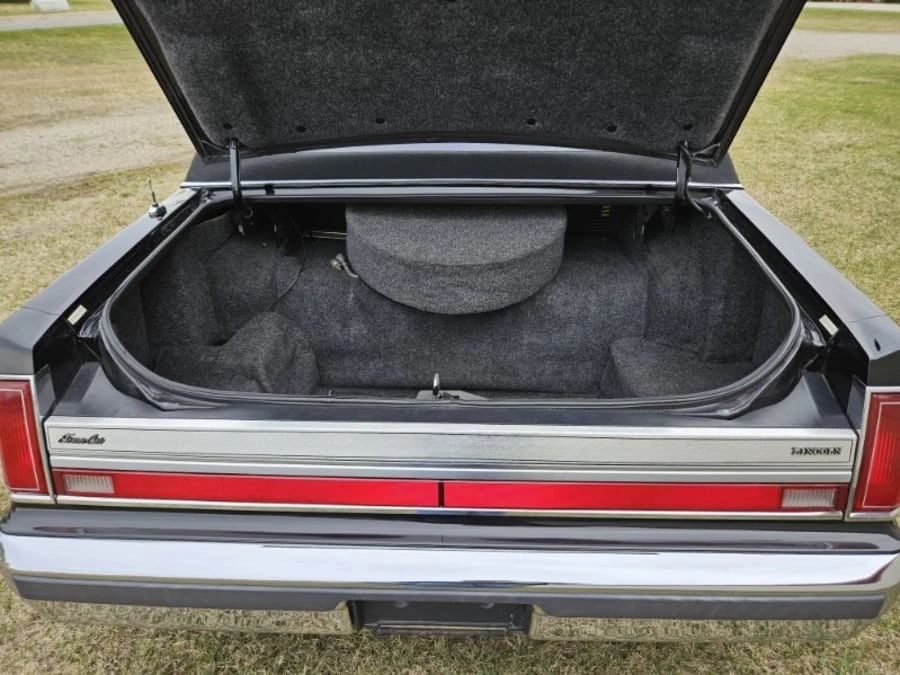 1988 Lincoln Town Car - Image 16 of 17