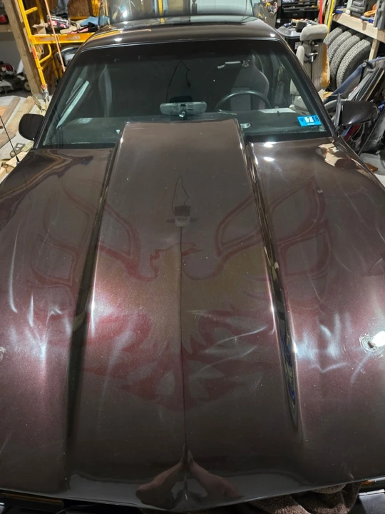 1988 Pontiac Firebird 3rd Gen - Image 5 of 20