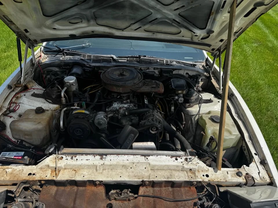 1988 Pontiac Firebird 3rd Gen - Image 7 of 8