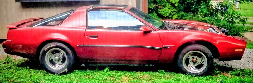 1988 Pontiac Firebird 3rd Gen - Image 11 of 11
