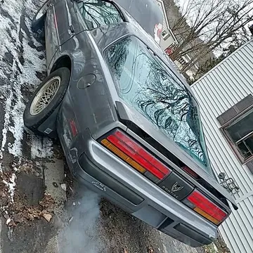 1988 Pontiac Firebird Hatchback 2D