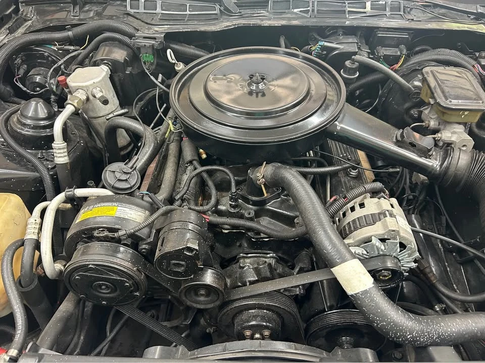 1988 Pontiac Firebird 3rd Gen - Image 7 of 19