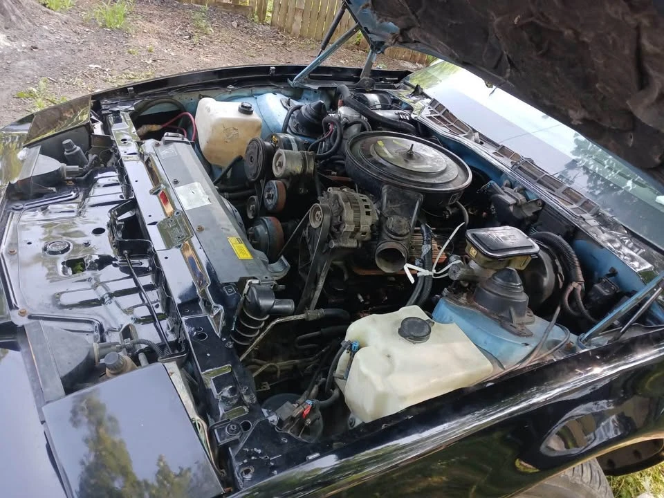 1988 Pontiac Firebird 3rd Gen - Image 3 of 5