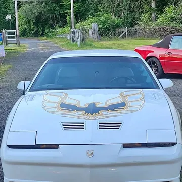 1988 Pontiac Trans Am GTA/WS6