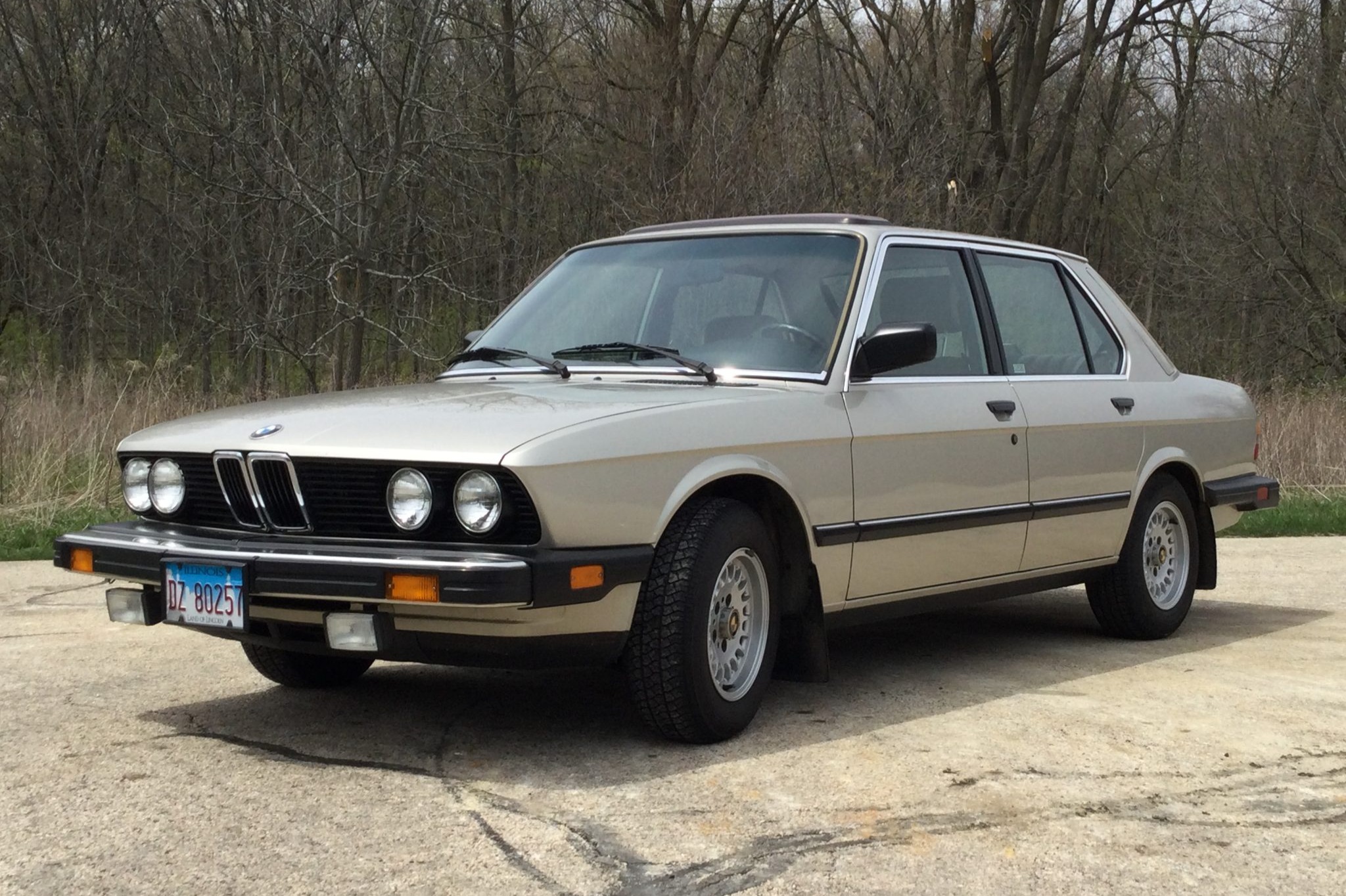 Single-Family-Owned 1988 BMW 528e